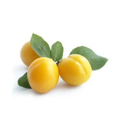 Mirabelle Plum