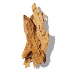 Tobacco leaf