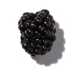 Blackberry