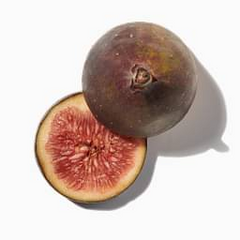 Fig